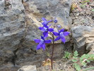 photo thumbnail #12