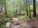 photo thumbnail #11