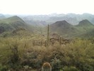 photo thumbnail #3