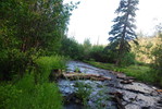 photo thumbnail #2