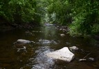 photo thumbnail #4