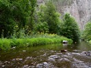 photo thumbnail #5