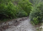 photo thumbnail #13