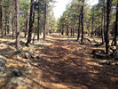 photo thumbnail #3