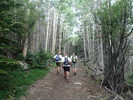photo thumbnail #4