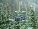 photo thumbnail #12