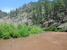 photo thumbnail #8