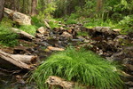 photo thumbnail #5