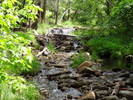 photo thumbnail #6
