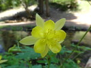 photo thumbnail #14
