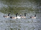 photo thumbnail #11