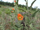 photo thumbnail #14