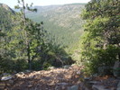 photo thumbnail #8