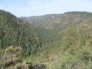 photo thumbnail #12