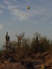photo thumbnail #3