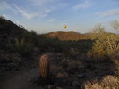 photo thumbnail #4