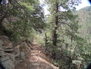photo thumbnail #5