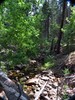 photo thumbnail #13