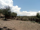 photo thumbnail #15