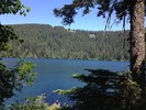 photo thumbnail #11