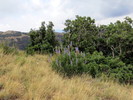 photo thumbnail #11