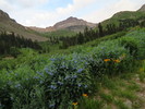 photo thumbnail #2