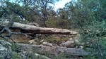 photo thumbnail #3