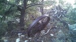 photo thumbnail #6