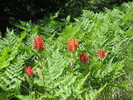 photo thumbnail #9