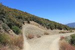 photo thumbnail #8