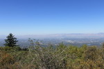 photo thumbnail #12