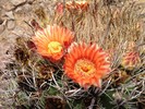 photo thumbnail #3