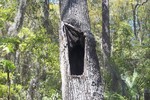 photo thumbnail #11