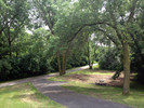photo thumbnail #3