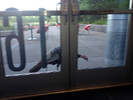 photo thumbnail #8