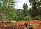 photo thumbnail #3