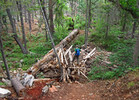 photo thumbnail #4