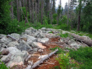 photo thumbnail #11