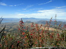 photo thumbnail #8