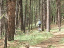 photo thumbnail #2