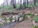 photo thumbnail #11