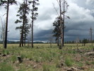 photo thumbnail #13