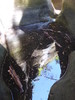 photo thumbnail #2