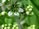 photo thumbnail #15