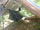 photo thumbnail #10