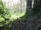 photo thumbnail #11