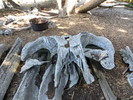 photo thumbnail #13