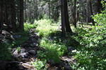 photo thumbnail #2
