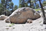 photo thumbnail #2