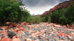 photo thumbnail #10
